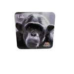 LULU BEER COASTER